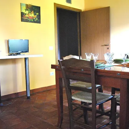 L'oliveto *