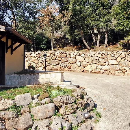 Dom wakacyjny L'oliveto
