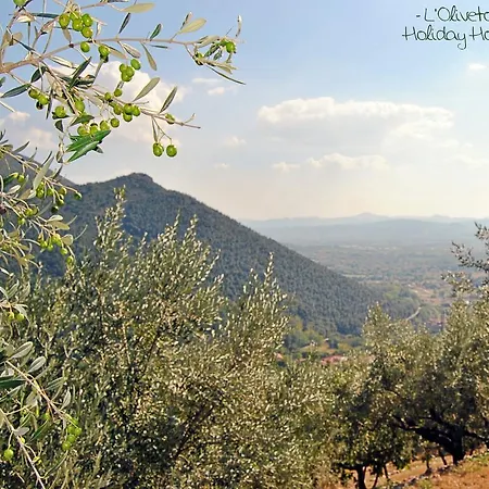 Dom wakacyjny L'oliveto Faicchio