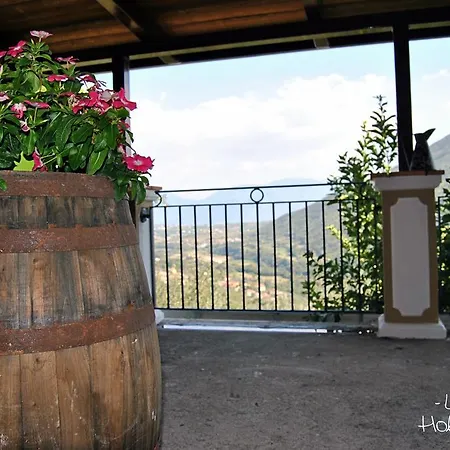 Dom wakacyjny L'oliveto